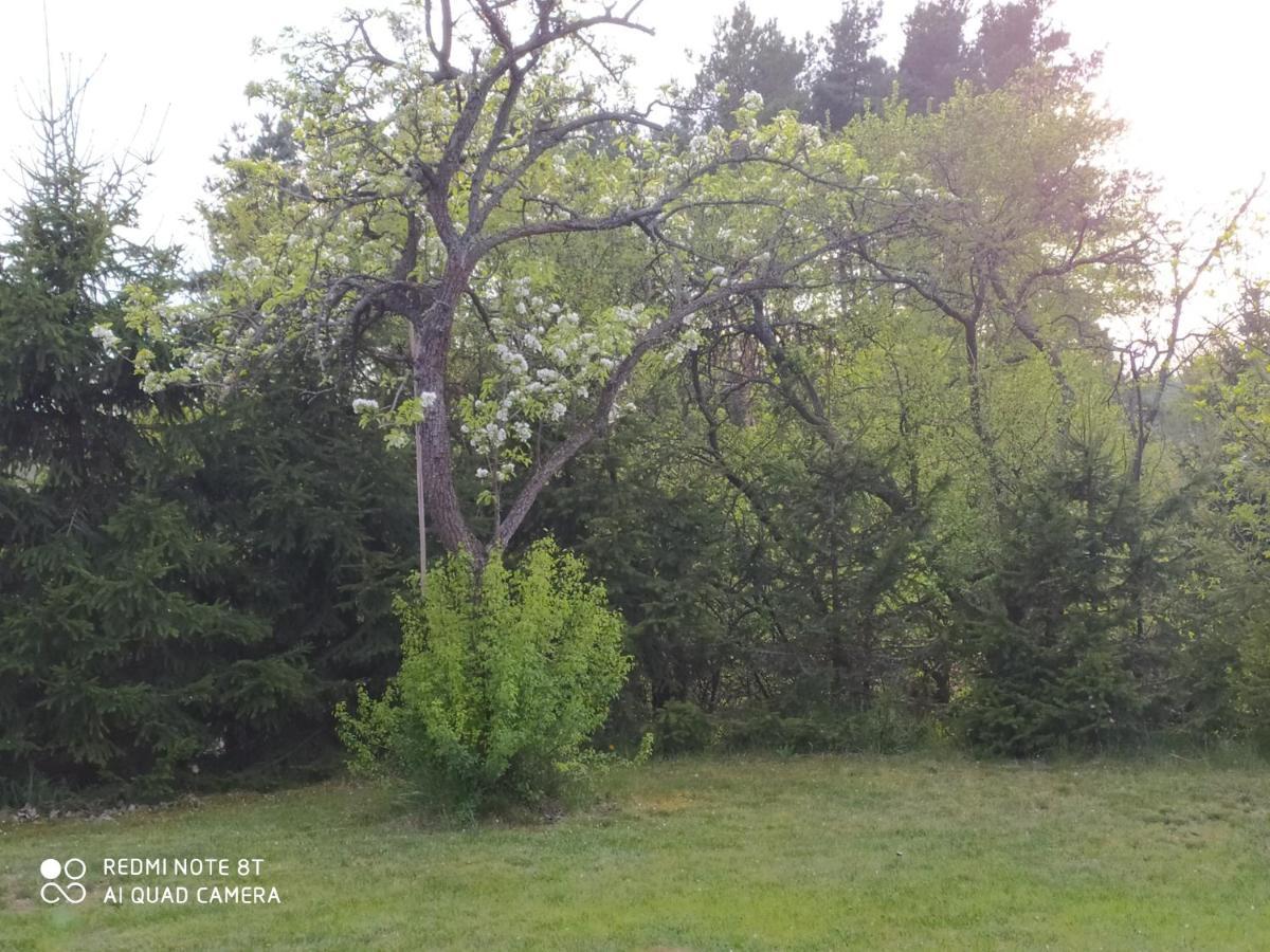 Apartamento Dolistówka Goniądz Exterior foto